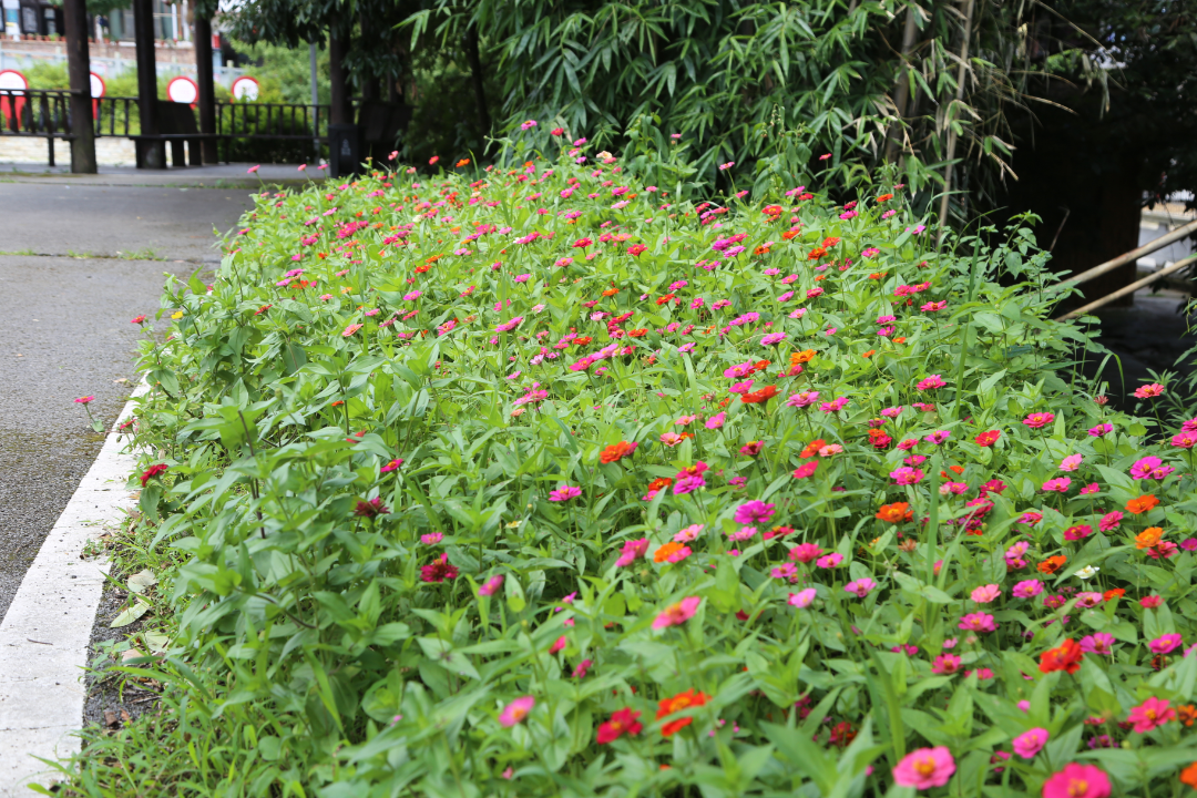 eb97e983df0e844d241308943306667d.png eb97e983df0e844d241308943306667d.png