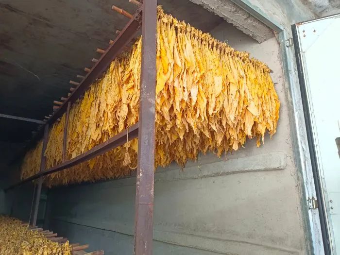 db4df1ac1a317a11d50cf49de2e01523.jpg db4df1ac1a317a11d50cf49de2e01523.jpg