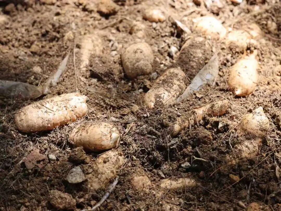 c03b7d9e1ae8bab995daa03f85ab2e06.jpg c03b7d9e1ae8bab995daa03f85ab2e06.jpg