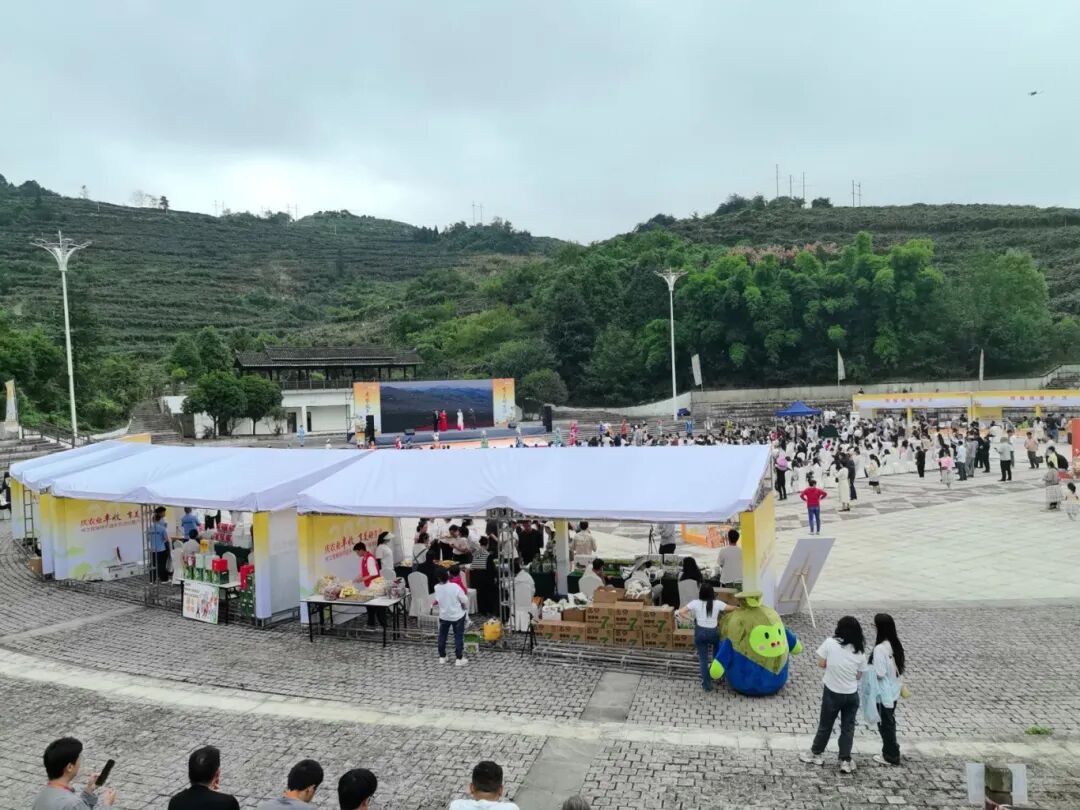 852870de2ce716ff390436beb49424e3.jpg 852870de2ce716ff390436beb49424e3.jpg