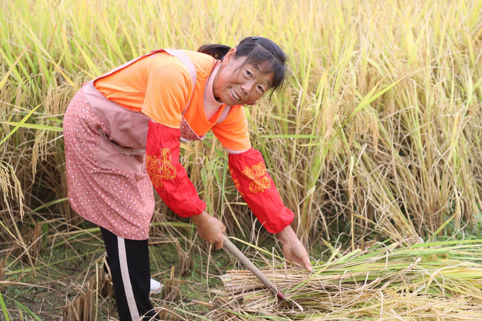 686c0a7be6e7782234f70af5d4508b3b.jpg 686c0a7be6e7782234f70af5d4508b3b.jpg