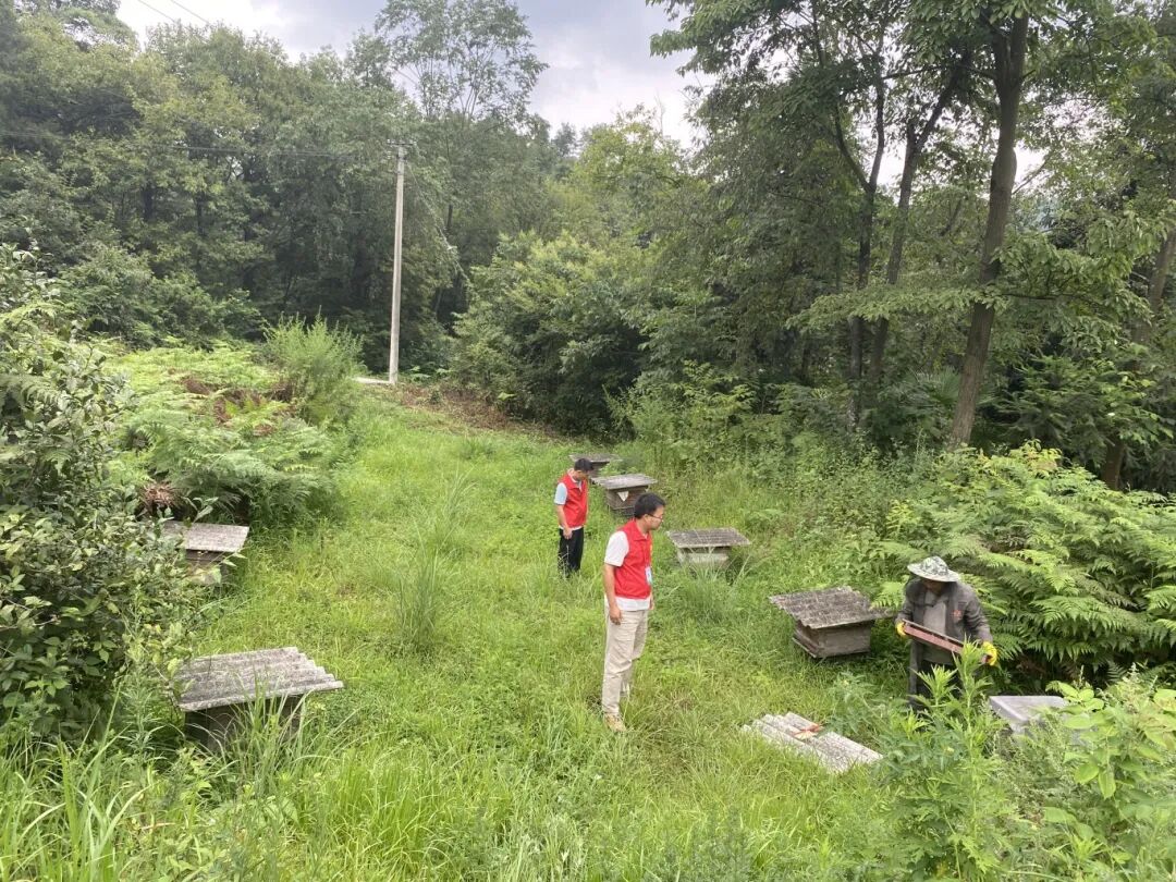 0dc1ae407eded80f711945bdac13c294.jpg 0dc1ae407eded80f711945bdac13c294.jpg