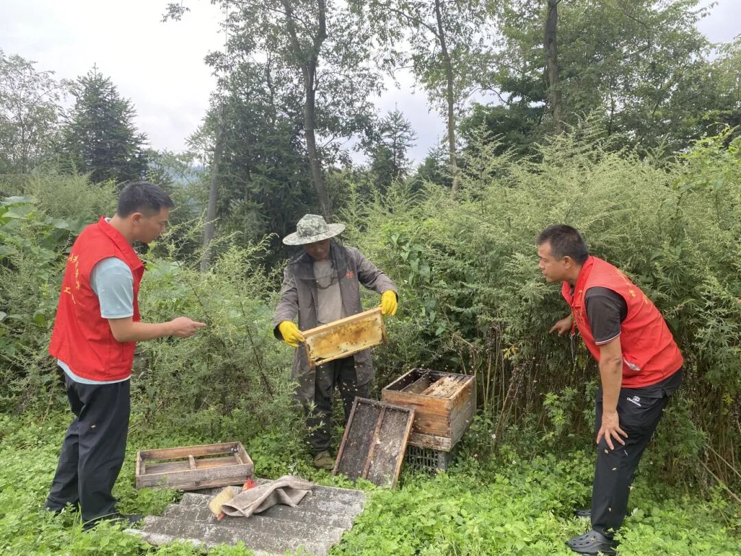 8584c312b9c0b5a0301d1047f5acbc02.jpg 8584c312b9c0b5a0301d1047f5acbc02.jpg