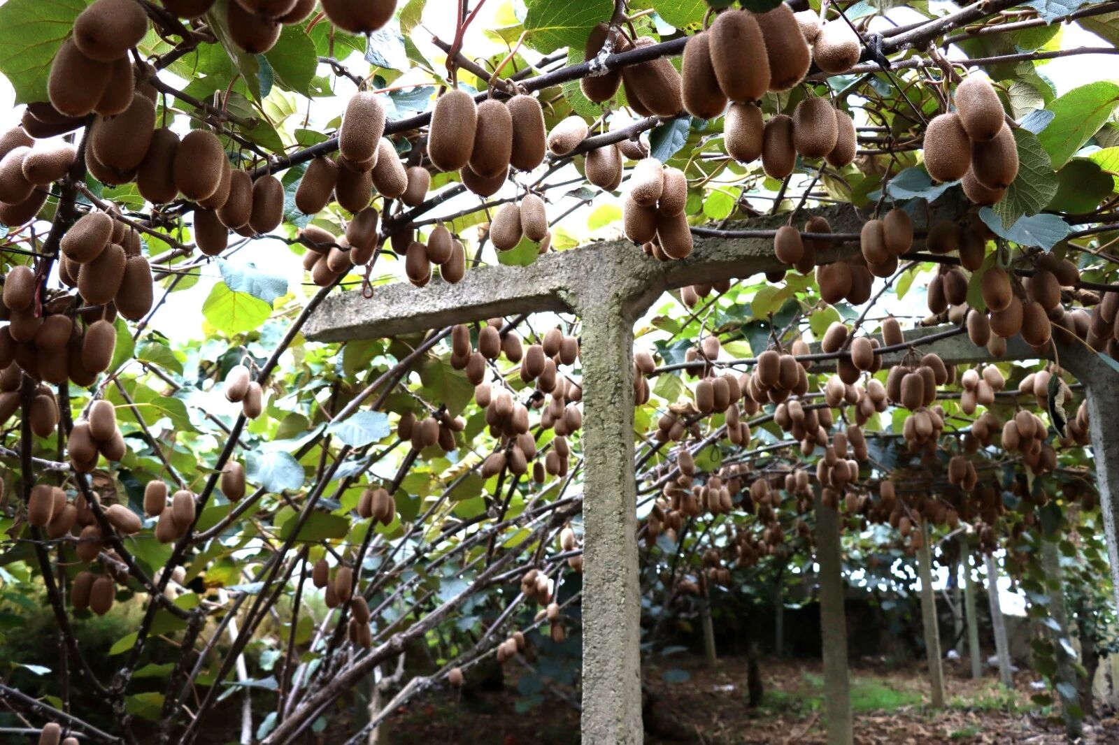 06c0121fe13a9494cb564b51f320e97d.jpg 06c0121fe13a9494cb564b51f320e97d.jpg