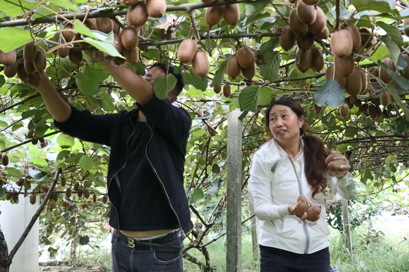 215a465293e7c3ff331f9933e27b14c8.jpg 215a465293e7c3ff331f9933e27b14c8.jpg