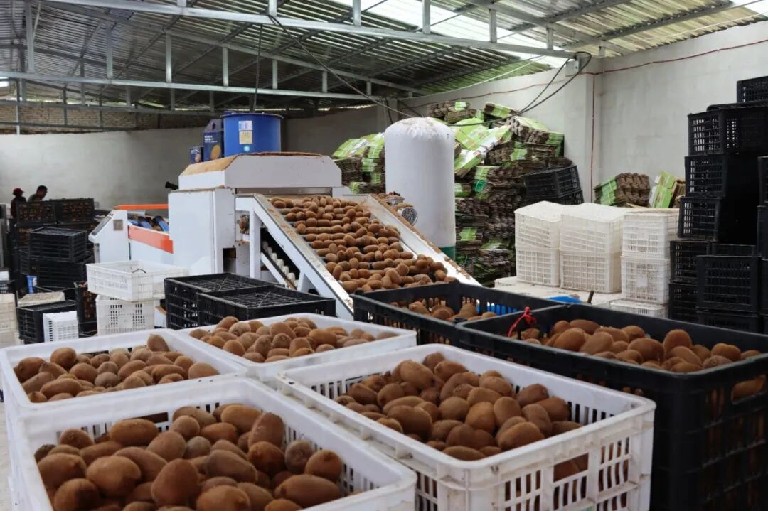 8bf6607c6725175be0b3b7d12143e30b.jpg 8bf6607c6725175be0b3b7d12143e30b.jpg