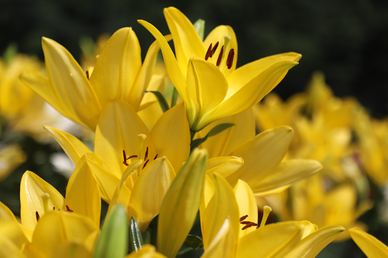 a606cf5a737588cf8574ec70fbb2848f.png a606cf5a737588cf8574ec70fbb2848f.png