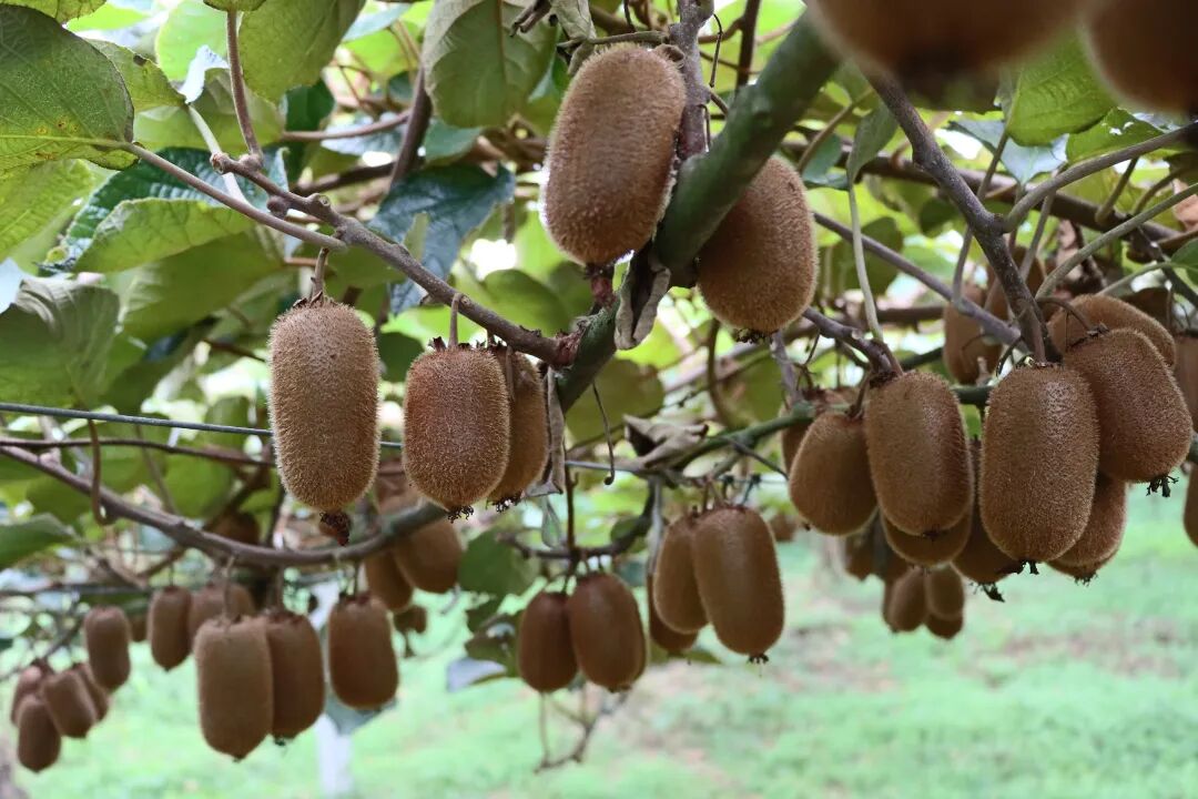 d181b854508e11c5f968079781b2decd.jpg d181b854508e11c5f968079781b2decd.jpg