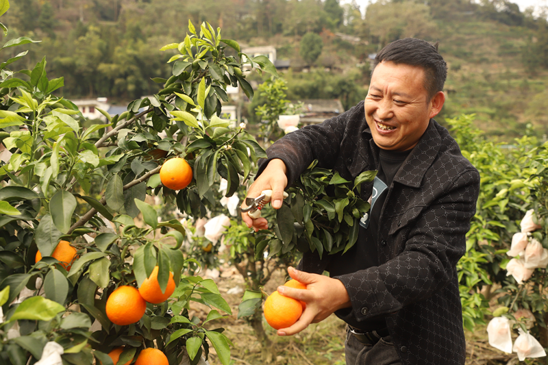 a140438f39c2bc2a81742204c4b37a6b.png a140438f39c2bc2a81742204c4b37a6b.png