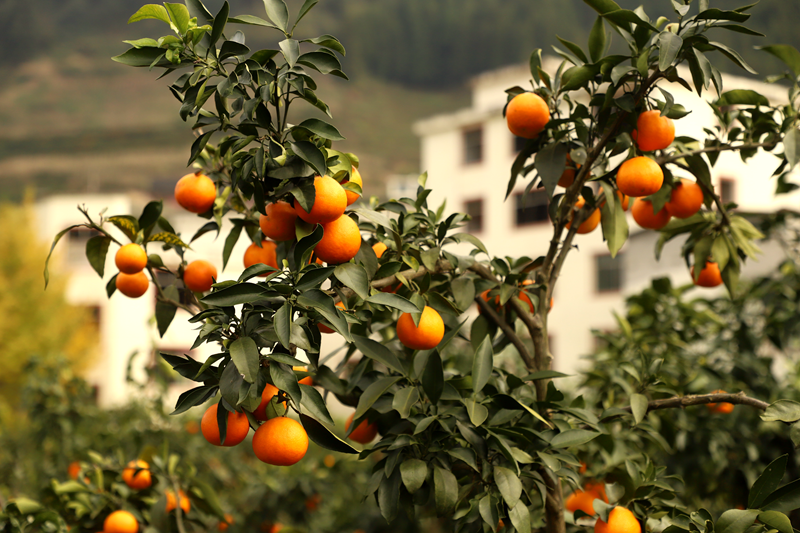 b89a2d240b0d30f7a6265678abdbb4e7.png b89a2d240b0d30f7a6265678abdbb4e7.png